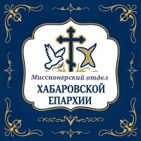 Представители Хабаровской епархии приняли участие в вебинарах, организованных Синодальным миссионерским отделом