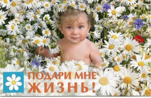 Хабаровская епархия выступила с инициативой акции «Неделя без абортов»