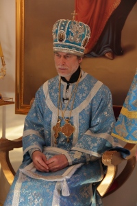 Глава Приамурской митрополии посетил торжества в честь Албазинской иконы Божией Матери в Благовещенске
