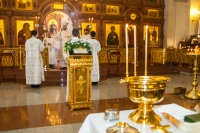 Митрополит Владимир совершил Божественную литургию в Крещенский сочельник