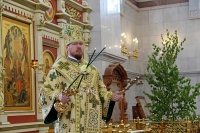 В день Святой Троицы глава Приамурской митрополии совершил Божественную литургию