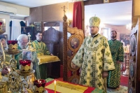 В день празднования памяти святой блаженной Ксении Петербургской митрополит Владимир совершил Божественную литургию в храме села Некрасовка