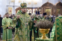 В канун праздника Входа Господня в Иерусалим митрополит Владимир совершил всенощное бдение