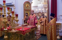 В канун Недели 6-ой по Пасхе, о слепом, митрополит Владимир совершил всенощное бдение
