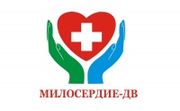 Волонтерское движение Хабаровской епархии принимает «новобранцев»