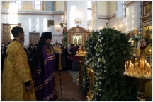 Поздравление Архиепископа Марка с Рождеством Христовым (7 января 2010 года)