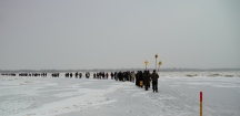 DSC06646.jpg