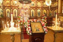 IMG_7456.jpg