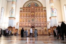 IMG_8652.jpg