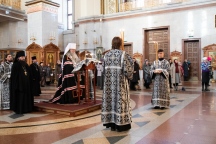 IMG_8658.jpg