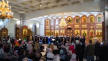 DSC00375.jpg