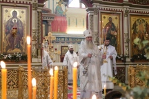 IMG_4181.jpg
