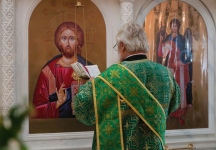 IMG_7967.jpg