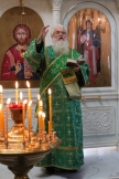 IMG_7992.jpg