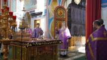 DSC00065.jpg