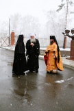 IMG_9774.jpg