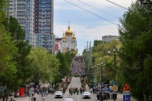 SH5_6472.jpg