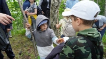 DSC06982.jpg