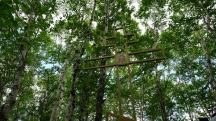 DSC07050.jpg