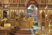 IMG_7833.jpg