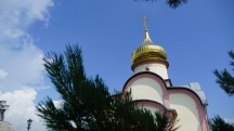 DSC08735.jpg