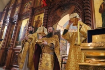 IMG_8874.jpg