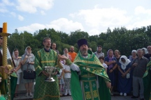 DSC08217.jpg