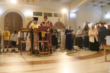 IMG_7345.jpg