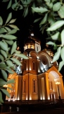 DSC01015.jpg