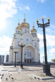 IMG_2251.jpg