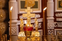 IMG_8877.jpg