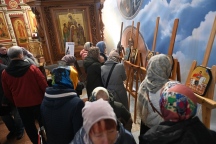 RTV_3150.jpg