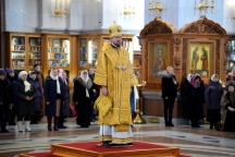 Божественная литургия в Спасо-Преображенском кафедральном соборе 19 ноября 2017 г.